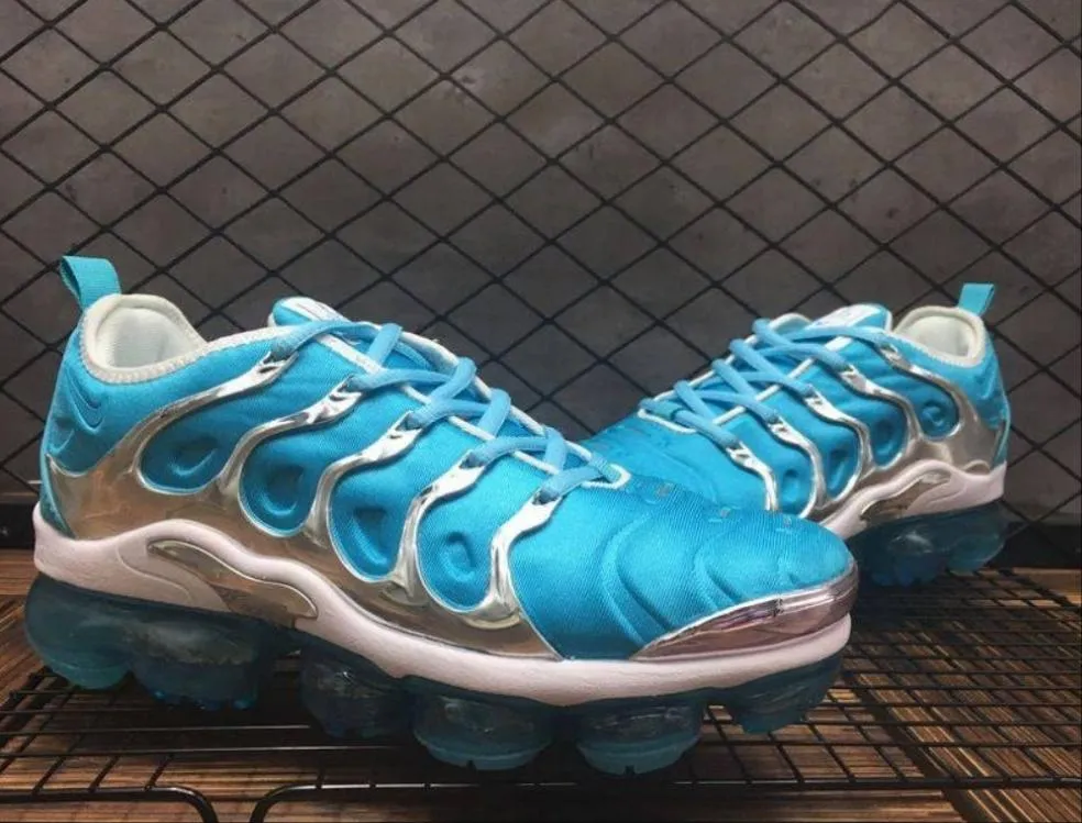 Baskets Nike Tn Air VaporMax Plus Blue Grey
