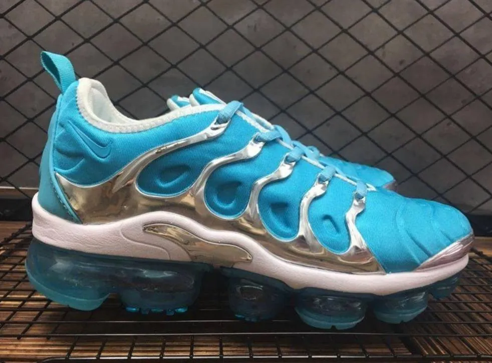 Baskets Nike Tn Air VaporMax Plus Blue Grey