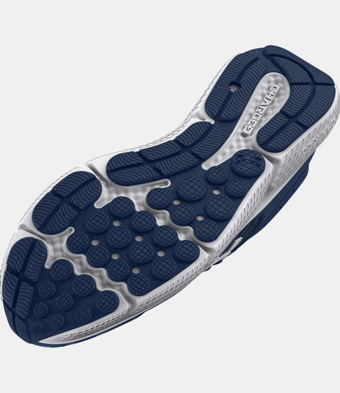 Chaussures homme UA Charged Assert 10 - Bleu Marine - Under Armour