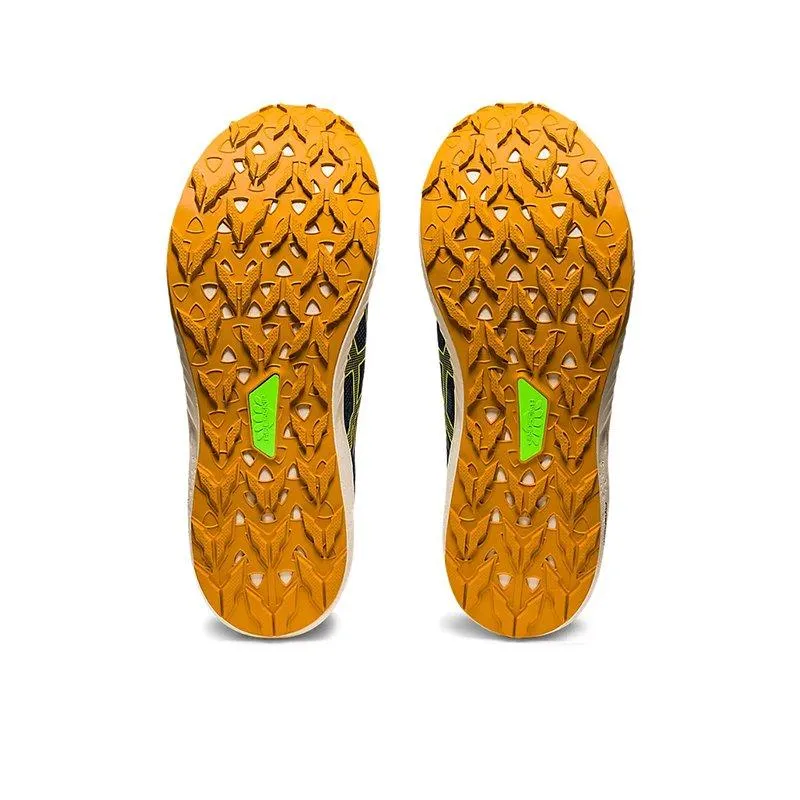 Chaussures Trail Homme Asics Fuji Lite 3