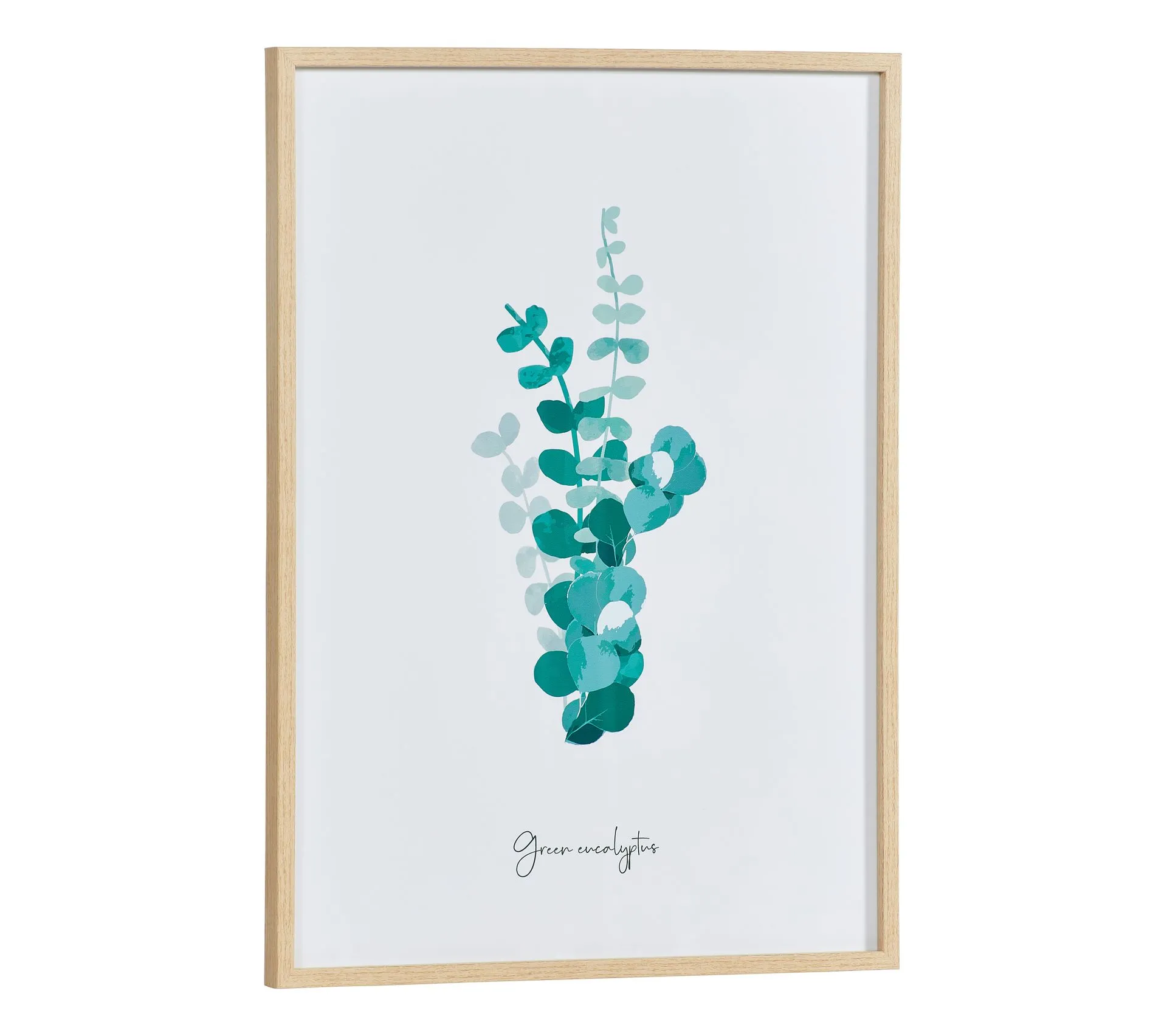 Image 50x70 cm EUCALYPTUS VERT Blanc / Vert / Naturel